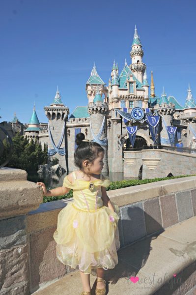 Sleeping Beauty Castle Disneyland best place to take pictures Instagram