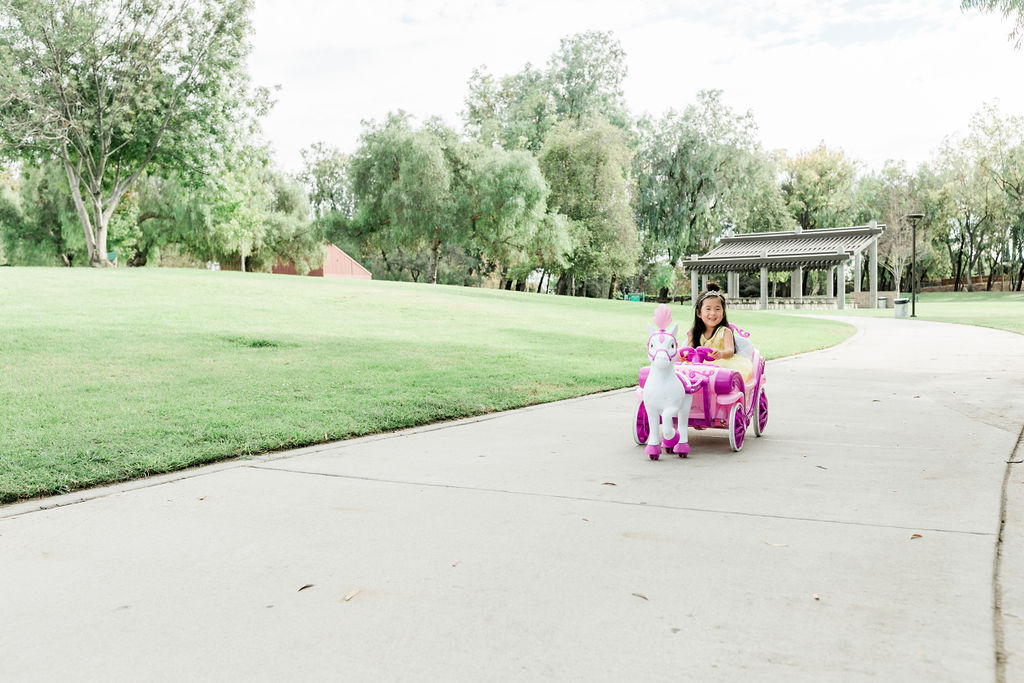 Huffy royal horse and 2024 carriage